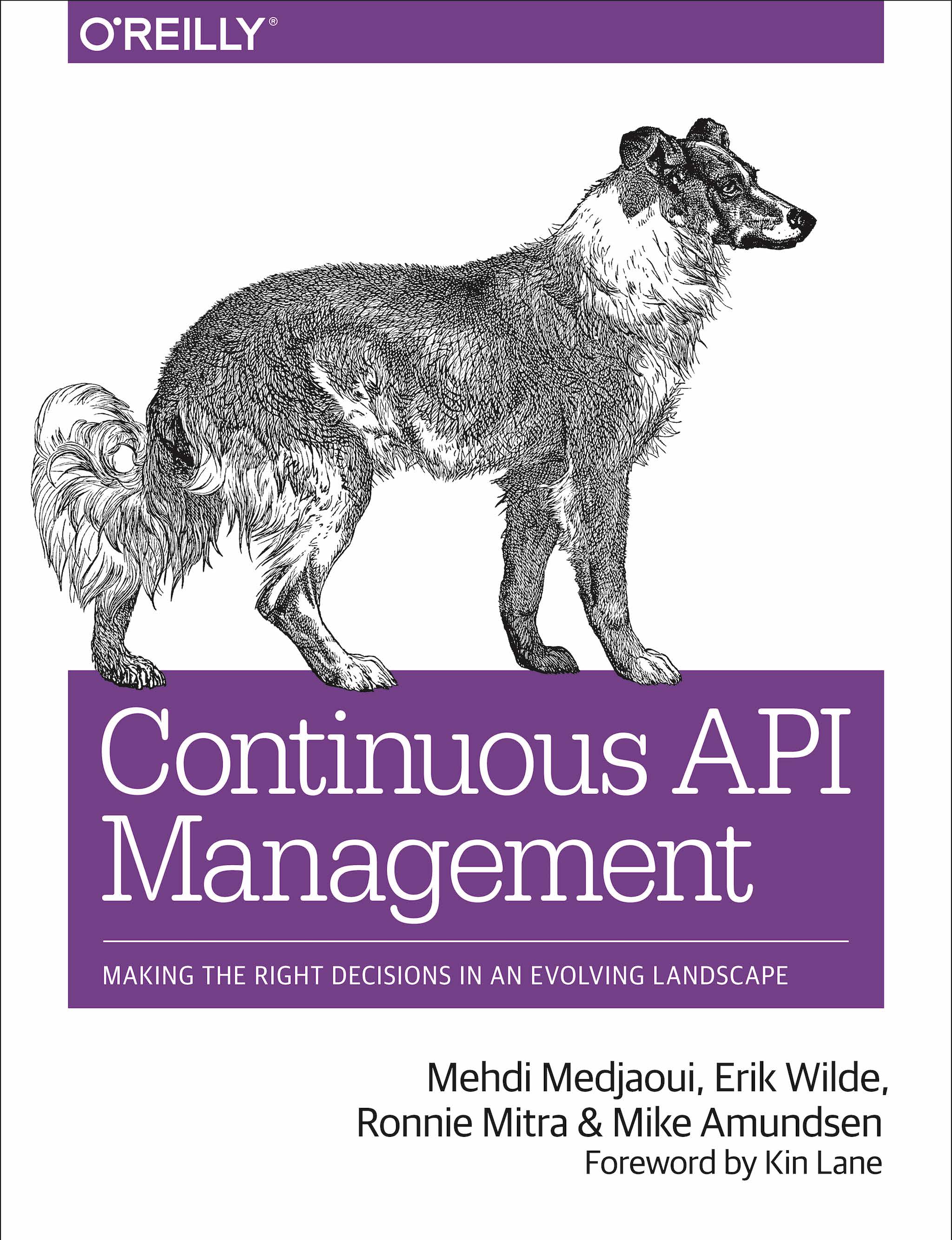 Continuous API Management: Making the Right Decisions in an Evolving Landscape